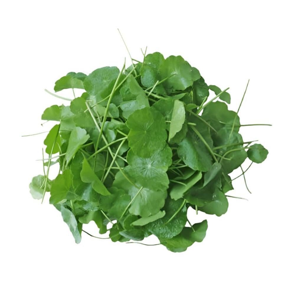 Ceylon Supermart Fresh Gotukola | Vallarai 250g