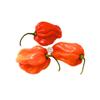Ceylon Supermart Fresh Scotch Bonnet Chillies 100g view 1