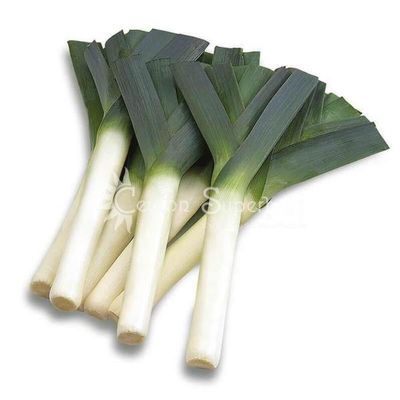 Ceylon Supermart Fresh Leeks, Each