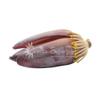 Ceylon Supermart Fresh Banana Blossom | Each view 1