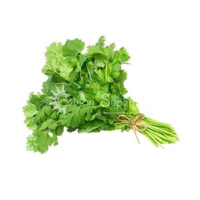 Ceylon Supermart Fresh Coriander Leaf Bunch Each
