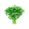 Ceylon Supermart Fresh Coriander Leaf Bunch Each view 2