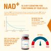Endotelio Cellular 1-MNA, Optimizing NAD+, Anti Aging with CoQ10, Magnesium and B Complex, Sirtuin Activator, Biohacking Supplement, Boost for Energy and Cellular Repair, 30 Caps view 3