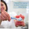 Healvian Denture Case Set with Toothbrush for Travel and Home, Mouth Guard Box, Sturdy Orthodontic Retainer Storage Container for Women and Men view 3