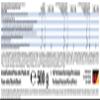 Weider Protein 80 Plus (500g) Apple Crumble - Proteins - Protein Blend view 4