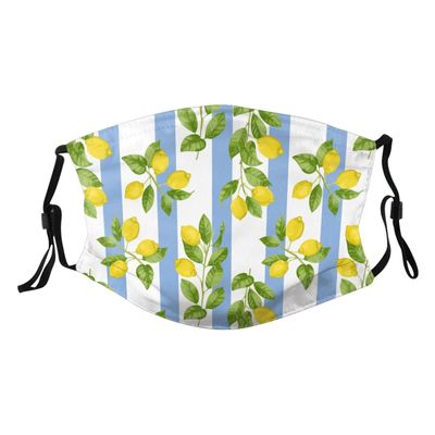 Reusable Cloth Face Mask,Blue Stripe Lemon Adult Washable Face Cover With Adjustable Earloops Nose Wire
