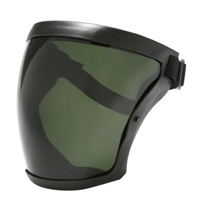 Bydezcon Anti-fog full face protective cover, adjustable, breathable, male, female, adult