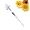 Healvian 3pcs Denture Brush False Teeth Cleaning Tool Double-Sided Toothbrush Brush Head for Fresher Breath view 4