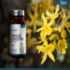 GH Tribulus Terrestris | 180 Tribulus Terrestris High Strength Tablets for Men and Women - 2000mg Trib per Tablet (from 20:1 Extract) | Non-GMO, Gluten & Allergen Free | Manufactured in The UK view 4