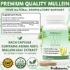 Mullein Leaf Extract for Lungs | High Strength 4500mg Mullein 10:1 Extract, Lung Support & Respiratory Health | Detoxification Aid & Cleansing Support Supplement - 60 Capsules view 2