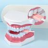 Ymxygz 10pcs Teeth Aligner Chewies for Invisalign Aligner Silicone with Grip Handles, for Invisible Braces Aligner Munchies for Invisalign view 4