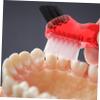 KOMBIUDA 12pcs Mini Double-Head Denture Brush Toothbrush for Oral Care Household Cleaning Tool Portable Design for Home Use view 3