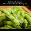 20W Electric Pea Peeler, Beans Stripper Sheller Pea Peeler Machine, Commercial Peel Peeler, Home Peeling Machine, 35x19x23cm view 3