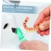 SEWOART 4pcs Mini Denture Brush Set Double-Head Multi-Functional Small Toothbrush Portable for Personal Oral Care Home Cleaning Blue Red Orange Green view 2