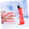 SEWOART 4pcs Mini Denture Brush Set Double-Head Multi-Functional Small Toothbrush Portable for Personal Oral Care Home Cleaning Blue Red Orange Green view 4
