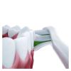 WENH 12PCS Replacement Brush Heads for X3/X3U/X5 Sonic Electric Toothbrush Heads Vacuum Soft Cleaning Bristle Nozzles(6White6Pink) view 2