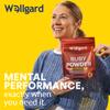 Wellgard Super Reds Powder, Ruby Powder, Vitamins, Minerals, Fruits, Botanicals, Fibre, Live Cultures, 300g view 4