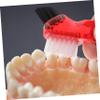 Anneome 12pcs Multi Functional Small Denture Brush Double-Head Toothbrush for Home Oral Care Portable Mini Cleaning Tool for Personal Denture Use view 4