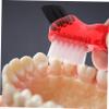 Gogogmee Denture Brush Set 4pcs Double-Head Small Multi-Functional Toothbrushes Portable Mini Cleaning Brushes for Oral Care at Home, Includes Blue Red Orange Green view 4