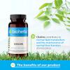 Choline 350 mg  100 Capsules by BIOHERBA | Nutrient for Lipid Metabolism and Cellular Function view 2