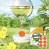 Shoe Odor Elimination Pad - Freshness Comfortable Shoe Stickers,Freshness Comfortable Shoe Stickers, Lemon Scent Deodorizing Insole Stickers, Shoe Odor Remover Patch view 2