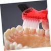 HAPINARY 12pcs Mini Double-Head Denture Brush Small Portable Toothbrush Heads for Oral Care Household Cleaning Tool Soft Bristles for Home Use view 3
