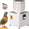 XINRISHENG Chicken Plucker Chicken Plucker Machine Stainless Steel Quail Plucker Machine Poultry Remover for Small Chicken Quail Pigeon view 1