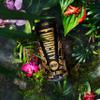 Furocity Sugar Free Energy Drink, Tropical Thunder, 157mg Caffeine, Low Calorie, Zero Sugar, High in Vitamins C, B6, B12, Taurine, Vegan, 12 x 500ml Cans view 4