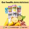 Happy Inside Gut Health Juice - Variety Pack | No Added Sugar, High in Prebiotic Fibre, Vitamin C | Vegan (24 x 250ml) view 2
