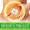 Neslemy Healthy Detox Slimming Patch,Neslemy Healthy Detox Patch, Slimming Patches Herbal Belly Slimming Detox Patch,Neslemy Belly Detox Patches for Women Belly Fat Flat Tummy (2 Box) view 4