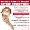 Liquid Iron Supplements for Cats, Cat Supplement with Vitamin C and B12, Supports Anemia, Promotes Blood Health, Helps with Formation of Red Blood Cell, Easy Digest and Absorbed, 60ML view 4