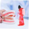 SEWOART 12pcs Plaque Denture Brush Multi-Functional Small Denture Toothbrush for Oral Care view 2