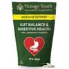 VY-Gut Digestive Enzyme & Prebiotic Supplement | Gut Health, Bloating & Gas Relief | Supports Digestion, Gut Flora & Regularity | Vegan Capsules for Stomach Comfort & Digestive Balance view 1