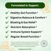 VY-Gut Digestive Enzyme & Prebiotic Supplement | Gut Health, Bloating & Gas Relief | Supports Digestion, Gut Flora & Regularity | Vegan Capsules for Stomach Comfort & Digestive Balance view 2