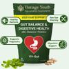 VY-Gut Digestive Enzyme & Prebiotic Supplement | Gut Health, Bloating & Gas Relief | Supports Digestion, Gut Flora & Regularity | Vegan Capsules for Stomach Comfort & Digestive Balance view 3