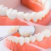 200 Pieces of Plastic Toothpicks, Tooth Picks, Oral Cleaning Sticks, Dental Care Tools, Suitable for Home and Hotel Etc. view 4