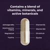 Health & Him Night Supplements for Men - 3 Months Supply of 60 Night Capsules - Men's Multivitamin with Magnesium, Ashwagandha & Chamomile - Vegan, Gluten-Free view 4