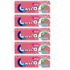 5 x packs Ex WATERMELON Flavour Sugar Free Chewing Gum 14g x 5 Multipack Limited Edition view 1
