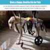 DAYGIFT Adjustable Dog Wheelchair with 4 Wheels, Doggie Pet Wheelchair for Back Legs, Lightweight Animal Exercise Rehabilitation Cart for Assist Small Pets with Paralyzed Hind Limbs,XS view 3
