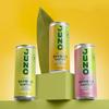 Juno Bamboo Water - Bamboo Sparkling Water Multipack 12 x 250ml Cans | Yuzu, Passionfruit and Mango Flavours | Low Calorie, Vegan, All Natural with Antioxidants and Vitamins view 2