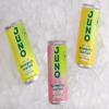 Juno Bamboo Water - Bamboo Sparkling Water Multipack 12 x 250ml Cans | Yuzu, Passionfruit and Mango Flavours | Low Calorie, Vegan, All Natural with Antioxidants and Vitamins view 3