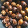 Trothic Spices Nutmeg Whole Jaiphal 50Gm view 2