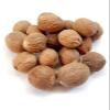 Trothic Spices Nutmeg Whole Jaiphal 50Gm view 4