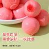 Strawberry gummy candy, watermelon soft candy, bucket fruit candy 300g/10.58oz, fruit flow gummies, healthy fruit fudge, wedding candy, nutritious snacks, sweet, Dim sum (Strawberry,1 can) view 4