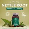Organic Stinging Nettle Root Extract 2000mg | High Strength 4:1 Extract Stinging Nettle Supplement | 60 Vegan Capsules | Made in The UK | Sustainably Packaged & Produced view 2