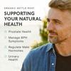 Organic Stinging Nettle Root Extract 2000mg | High Strength 4:1 Extract Stinging Nettle Supplement | 60 Vegan Capsules | Made in The UK | Sustainably Packaged & Produced view 3