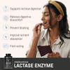 Lactase Enzyme (High Strength) | 9600FCC in One Capsule | 180 Capsules = 180 True Servings | Lactose Intolerance Relief & Digestion Support | Lab Tested | 100% Natural and Non-GMO view 2