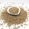 Lily's Indian Vegetarian Cuisine Green Lentils, 1kg view 1