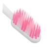Healvian 6pcs Travel Toothbrush Portable Folding Brush Holder for Daily Use and Outdoor Activities view 2