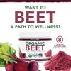 NaturesPlus Organic Beet Powder - Fermented and Non Fermented Beet Powder Rich in Naturally Occurring Nitrates - Organic, Gluten Free, Vegan - 30 Servings, 240g view 2